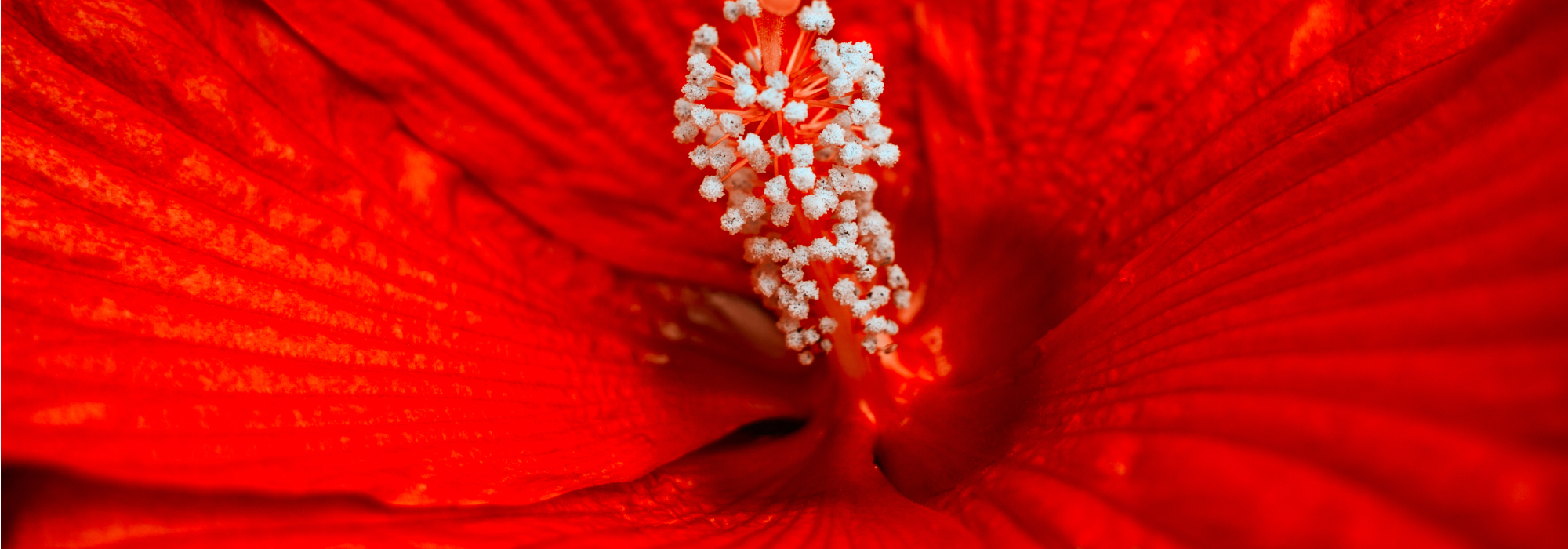 Bild_Sex